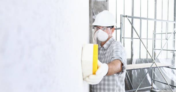 Why You Should Choose Our Mold Remediation Services in Piedmont, CA